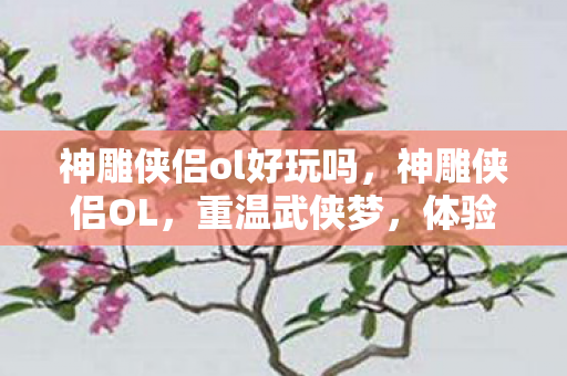 神雕侠侣ol好玩吗,神雕侠侣OL,重温武侠梦,体验江湖情 神雕侠侣ol好玩吗,神雕侠侣OL,重温武侠梦,体验江湖情