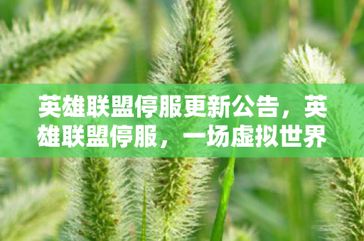 英雄联盟停服更新公告，英雄联盟停服，一场虚拟世界的告别