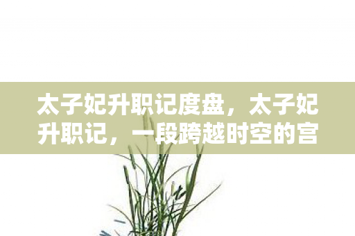 太子妃升职记度盘，太子妃升职记，一段跨越时空的宫廷奇缘