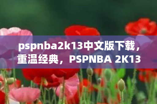 pspnba2k13中文版下载，重温经典，PSPNBA 2K13游戏下载与体验分享