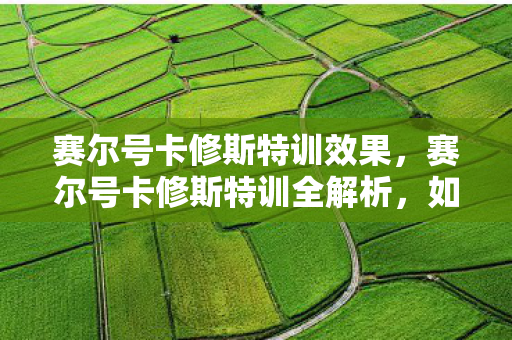 赛尔号卡修斯特训效果,赛尔号卡修斯特训全解析,如何提升你的战斗能力 赛尔号卡修斯特训效果,赛尔号卡修斯特训全解析,如何提升你的战斗能力
