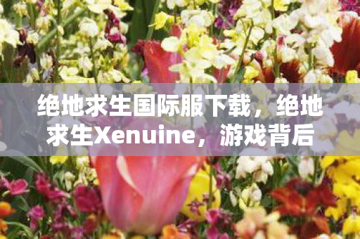 绝地求生国际服下载，绝地求生Xenuine，游戏背后的故事与探索