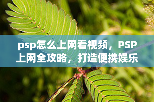 psp怎么上网看视频，PSP上网全攻略，打造便携娱乐新体验