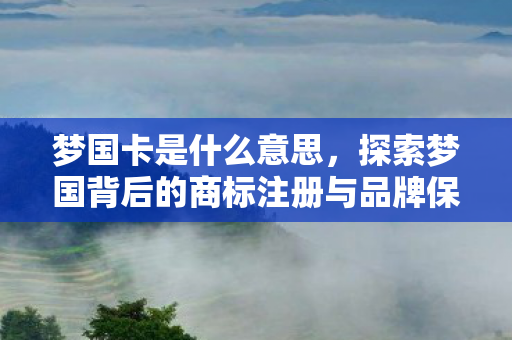 探索梦国背后的商标注册与品牌保护图片