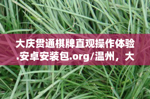 大庆贯通棋牌直观操作体验.安卓安装包.org/温州，大庆贯通，城市发展的新篇章