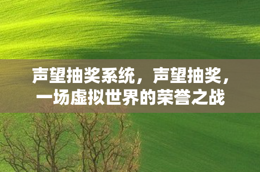 声望抽奖系统，声望抽奖，一场虚拟世界的荣誉之战