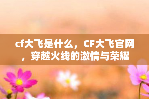 cf大飞是什么，CF大飞官网，穿越火线的激情与荣耀