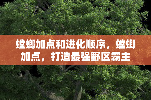 螳螂加点和进化顺序,螳螂加点,打造最强野区霸主 螳螂加点和进化顺序,螳螂加点,打造最强野区霸主