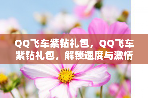 QQ飞车紫钻礼包,QQ飞车紫钻礼包,解锁速度与激情的钥匙 QQ飞车紫钻礼包,QQ飞车紫钻礼包,解锁速度与激情的钥匙