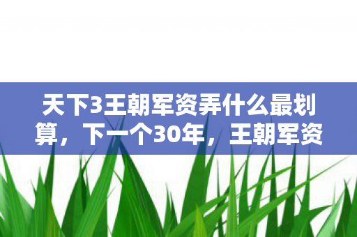 天下3王朝军资弄什么最划算,下一个30年,王朝军资的崛起与变革 天下3王朝军资弄什么最划算,下一个30年,王朝军资的崛起与变革