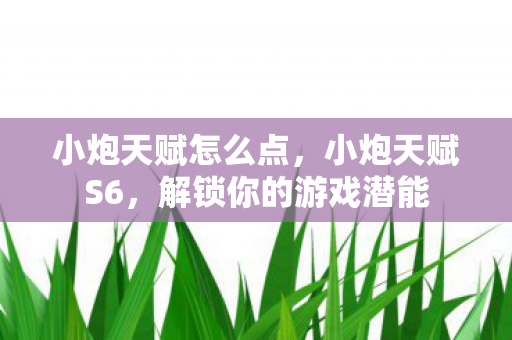 小炮天赋怎么点，小炮天赋S6，解锁你的游戏潜能