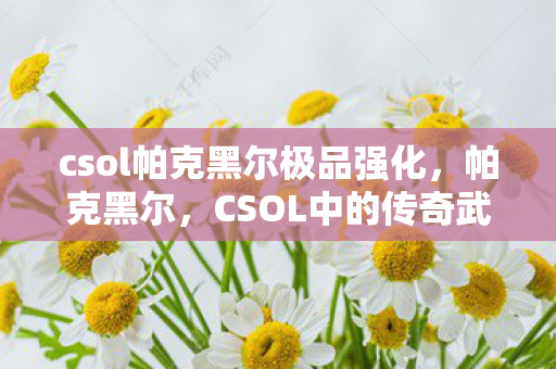 csol帕克黑尔极品强化，帕克黑尔，CSOL中的传奇武器