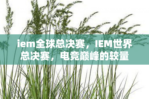 iem全球总决赛，IEM世界总决赛，电竞巅峰的较量