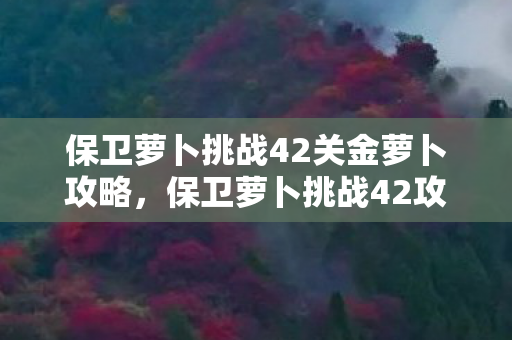 保卫萝卜挑战42关金萝卜攻略，保卫萝卜挑战42攻略，金萝卜布阵图详解