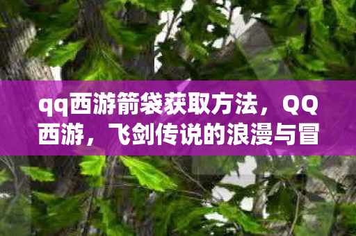 qq西游箭袋获取方法，QQ西游，飞剑传说的浪漫与冒险