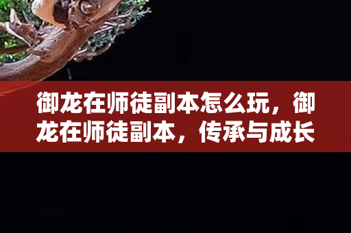 御龙在师徒副本怎么玩，御龙在师徒副本，传承与成长的奇妙之旅