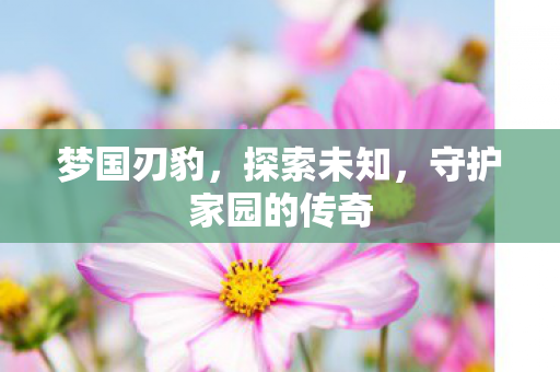 梦国刃豹，探索未知，守护家园的传奇