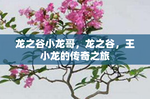 龙之谷小龙哥,龙之谷,王小龙的传奇之旅 龙之谷小龙哥,龙之谷,王小龙的传奇之旅