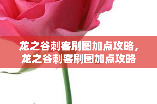 龙之谷刺客刷图加点攻略,龙之谷刺客刷图加点攻略 龙之谷刺客刷图加点攻略,龙之谷刺客刷图加点攻略