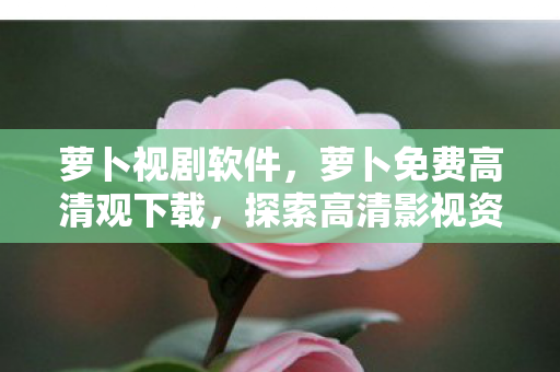 萝卜视剧软件，萝卜免费高清观下载，探索高清影视资源的正确途径