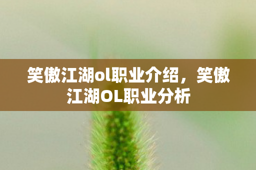 笑傲江湖ol职业介绍，笑傲江湖OL职业分析