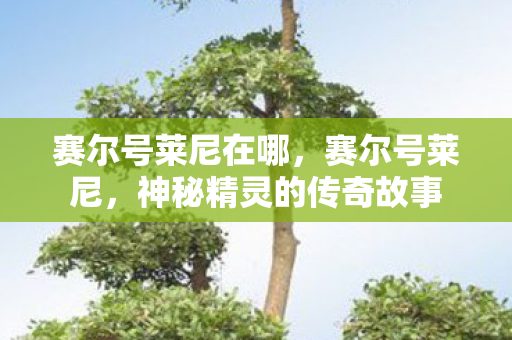 赛尔号莱尼在哪,赛尔号莱尼,神秘精灵的传奇故事 赛尔号莱尼在哪,赛尔号莱尼,神秘精灵的传奇故事