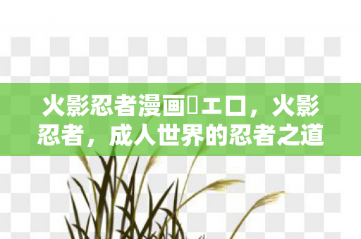 火影忍者漫画・エ口，火影忍者，成人世界的忍者之道