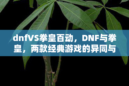 dnfVS拳皇百动，DNF与拳皇，两款经典游戏的异同与魅力