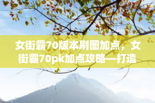 女街霸70版本刷图加点，女街霸70pk加点攻略—打造无敌战斗机器
