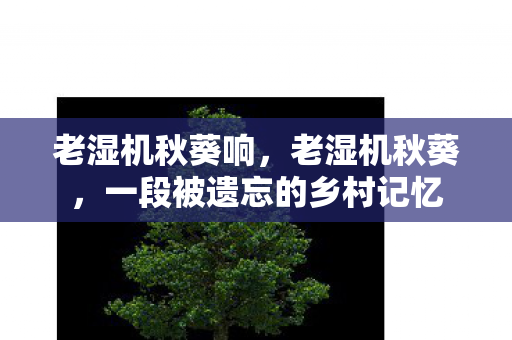 老湿机秋葵响,老湿机秋葵,一段被遗忘的乡村记忆 老湿机秋葵响,老湿机秋葵,一段被遗忘的乡村记忆