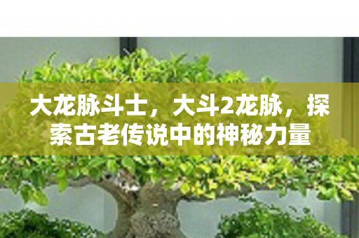 大龙脉斗士，大斗2龙脉，探索古老传说中的神秘力量