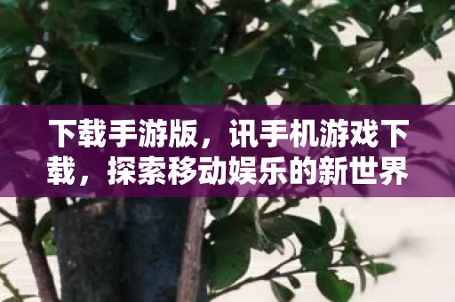 下载手游版,讯手机游戏下载,探索移动娱乐的新世界 下载手游版,讯手机游戏下载,探索移动娱乐的新世界