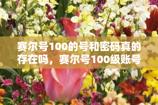 赛尔号100的号和密码真的存在吗，赛尔号100级账号与密码，虚拟世界的真实与虚幻