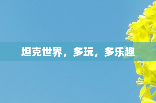 坦克世界，多玩，多乐趣