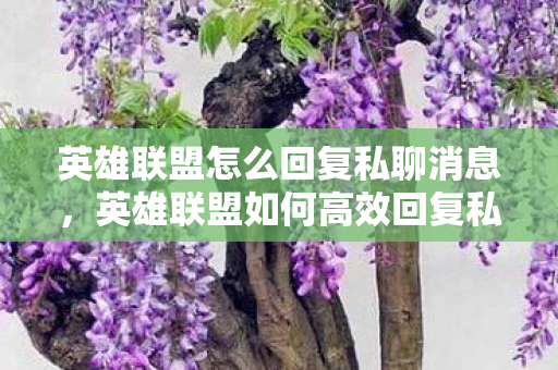 英雄联盟怎么回复私聊消息,英雄联盟如何高效回复私聊,提升游戏体验的小技巧 英雄联盟怎么回复私聊消息,英雄联盟如何高效回复私聊,提升游戏体验的小技巧
