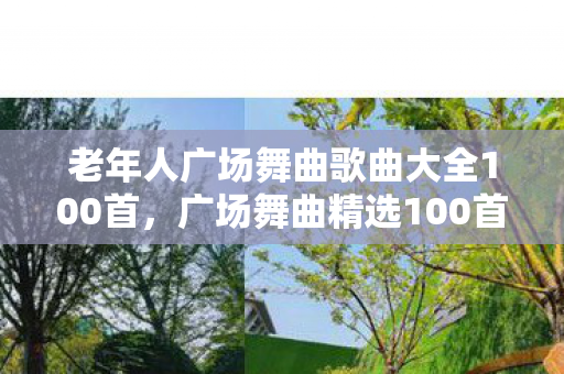 老年人广场舞曲歌曲大全100首，广场舞曲精选100首，舞动生活的旋律