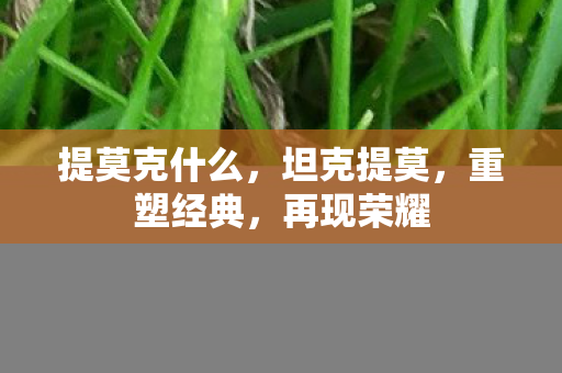 提莫克什么，坦克提莫，重塑经典，再现荣耀