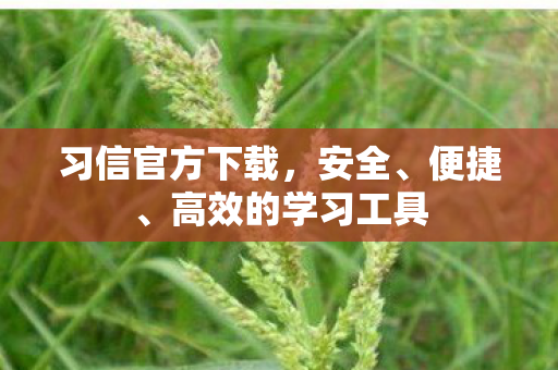 习信官方下载，安全、便捷、高效的学习工具
