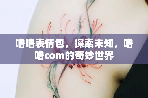 噜噜表情包，探索未知，噜噜com的奇妙世界