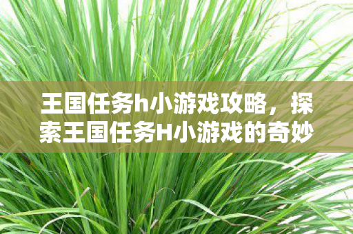 王国任务h小游戏攻略，探索王国任务H小游戏的奇妙世界