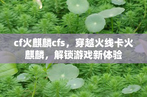 cf火麒麟cfs，穿越火线卡火麒麟，解锁游戏新体验