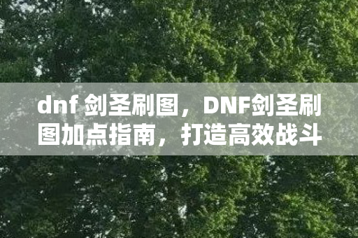 dnf 剑圣刷图,DNF剑圣刷图加点指南,打造高效战斗体验 dnf 剑圣刷图,DNF剑圣刷图加点指南,打造高效战斗体验