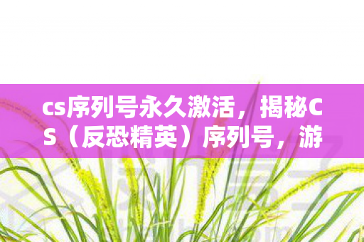 cs序列号永久激活，揭秘CS（反恐精英）序列号，游戏界的黑金之谜
