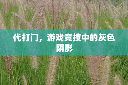 代打门,游戏竞技中的灰色阴影 代打门,游戏竞技中的灰色阴影