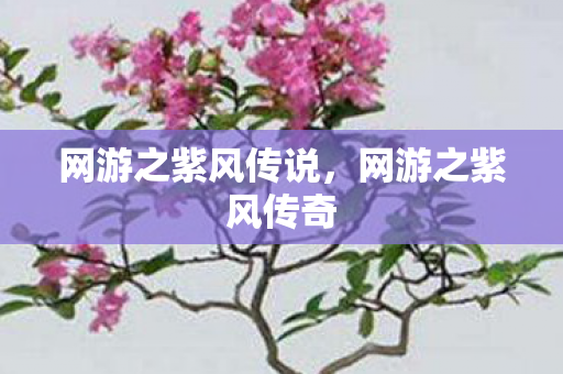 网游之紫风传说,网游之紫风传奇 网游之紫风传说,网游之紫风传奇