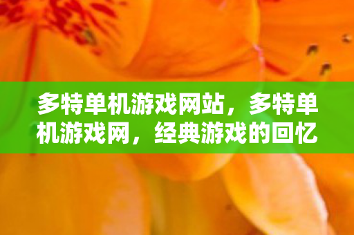 多特单机游戏网站，多特单机游戏网，经典游戏的回忆与传承
