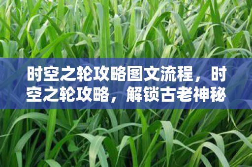 时空之轮攻略图文流程，时空之轮攻略，解锁古老神秘世界的钥匙