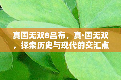真国无双8吕布,真·国无双,探索历史与现代的交汇点 真国无双8吕布,真·国无双,探索历史与现代的交汇点