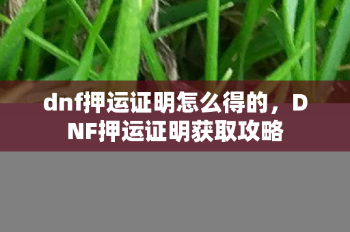 dnf押运证明怎么得的,DNF押运证明获取攻略 dnf押运证明怎么得的,DNF押运证明获取攻略