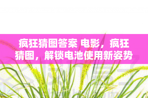 疯狂猜图答案 电影,疯狂猜图,解锁电池使用新姿势,延长手机续航新攻略 疯狂猜图答案 电影,疯狂猜图,解锁电池使用新姿势,延长手机续航新攻略